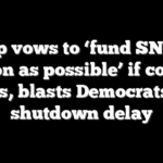 Trump vows to ‘fund SNAP as soon as possible’ if court allows, blasts Democrats over shutdown delay