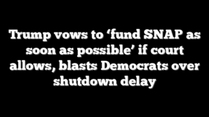 Trump vows to ‘fund SNAP as soon as possible’ if court allows, blasts Democrats over shutdown delay