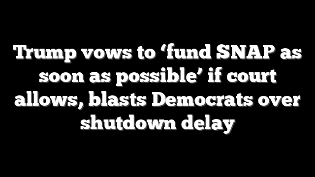 Trump vows to ‘fund SNAP as soon as possible’ if court allows, blasts Democrats over shutdown delay