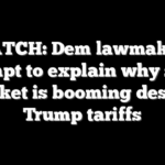 WATCH: Dem lawmakers attempt to explain why stock market is booming despite Trump tariffs