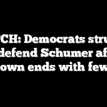 WATCH: Democrats struggle to defend Schumer after shutdown ends with few wins