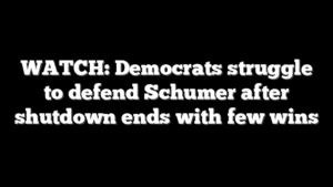 WATCH: Democrats struggle to defend Schumer after shutdown ends with few wins