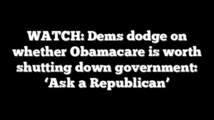 WATCH: Dems dodge on whether Obamacare is worth shutting down government: ‘Ask a Republican’