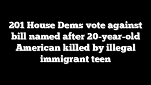 201 House Dems vote against bill named after 20-year-old American killed by illegal immigrant teen