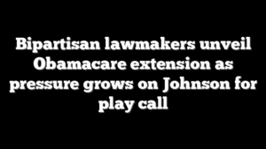 Bipartisan lawmakers unveil Obamacare extension as pressure grows on Johnson for play call