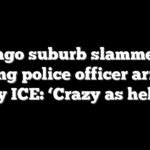 Chicago suburb slammed for rehiring police officer arrested by ICE: ‘Crazy as hell’