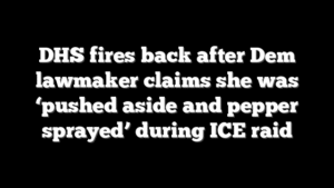 DHS fires back after Dem lawmaker claims she was ‘pushed aside and pepper sprayed’ during ICE raid
