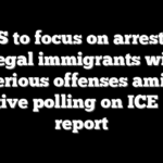 DHS to focus on arresting illegal immigrants with serious offenses amid negative polling on ICE raids: report