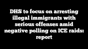 DHS to focus on arresting illegal immigrants with serious offenses amid negative polling on ICE raids: report