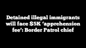 Detained illegal immigrants will face $5K ‘apprehension fee’: Border Patrol chief