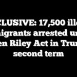 EXCLUSIVE: 17,500 illegal immigrants arrested under Laken Riley Act in Trump’s second term