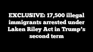 EXCLUSIVE: 17,500 illegal immigrants arrested under Laken Riley Act in Trump’s second term
