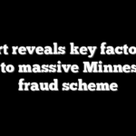 Expert reveals key factor that led to massive Minnesota fraud scheme