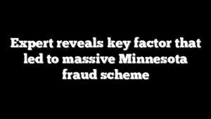 Expert reveals key factor that led to massive Minnesota fraud scheme