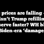 Gas prices are falling — so why isn’t Trump refilling the oil reserve faster? WH blames Biden-era ‘damage’