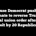 House Democrat pushes Senate to reverse Trump federal union order after GOP revolt by 20 Republicans