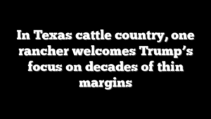 In Texas cattle country, one rancher welcomes Trump’s focus on decades of thin margins