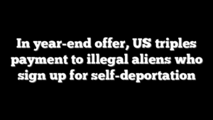 In year-end offer, US triples payment to illegal aliens who sign up for self-deportation