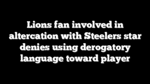 Lions fan involved in altercation with Steelers star denies using derogatory language toward player