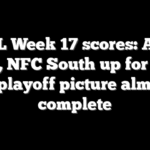 NFL Week 17 scores: AFC North, NFC South up for grabs as playoff picture almost complete