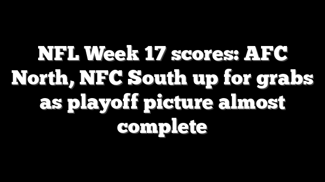 NFL Week 17 scores: AFC North, NFC South up for grabs as playoff picture almost complete
