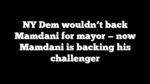 NY Dem wouldn’t back Mamdani for mayor — now Mamdani is backing his challenger