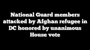 National Guard members attacked by Afghan refugee in DC honored by unanimous House vote