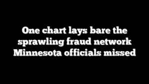 One chart lays bare the sprawling fraud network Minnesota officials missed