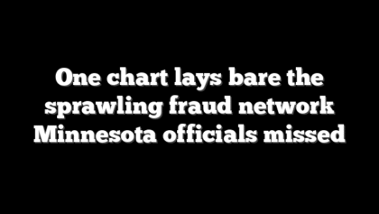 One chart lays bare the sprawling fraud network Minnesota officials missed