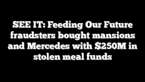 SEE IT: Feeding Our Future fraudsters bought mansions and Mercedes with $250M in stolen meal funds
