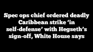 Spec ops chief ordered deadly Caribbean strike ‘in self-defense’ with Hegseth’s sign-off, White House says