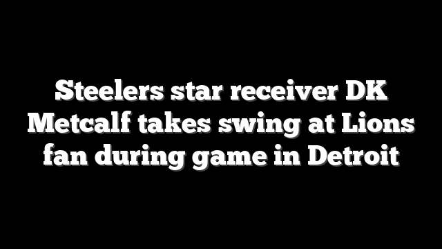 Steelers star receiver DK Metcalf takes swing at Lions fan during game in Detroit