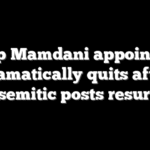 Top Mamdani appointee dramatically quits after antisemitic posts resurface