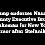 Trump endorses Nassau County Executive Bruce Blakeman for New York governor after Stefanik exit