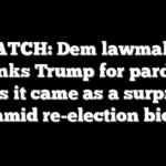 WATCH: Dem lawmaker thanks Trump for pardon, says it came as a surprise amid re-election bid