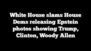 White House slams House Dems releasing Epstein photos showing Trump, Clinton, Woody Allen