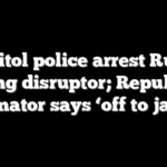 Capitol police arrest Rubio hearing disruptor; Republican senator says ‘off to jail’