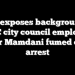DHS exposes background of NYC city council employee after Mamdani fumed over arrest
