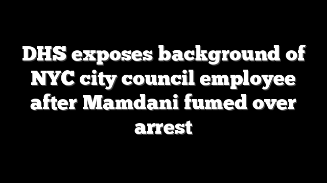 DHS exposes background of NYC city council employee after Mamdani fumed over arrest