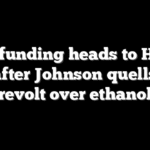 DHS funding heads to House vote after Johnson quells GOP revolt over ethanol