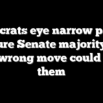 Democrats eye narrow path to capture Senate majority, but one wrong move could sink them