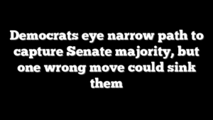 Democrats eye narrow path to capture Senate majority, but one wrong move could sink them