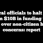 Federal officials to halt more than $10B in funding to 5 states over non-citizen benefit concerns: report