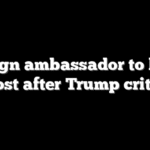 Foreign ambassador to leave US post after Trump criticism