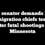 GOP senator demands DHS immigration chiefs testify after fatal shootings in Minnesota