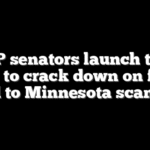 GOP senators launch task force to crack down on fraud tied to Minnesota scandal