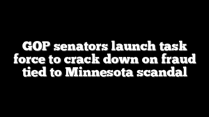 GOP senators launch task force to crack down on fraud tied to Minnesota scandal