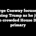 George Conway focuses on opposing Trump as he jumps into crowded House Dem primary