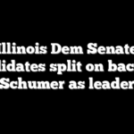 Illinois Dem Senate candidates split on backing Schumer as leader