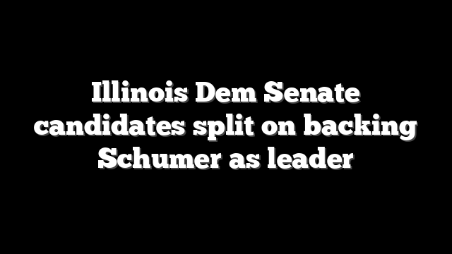 Illinois Dem Senate candidates split on backing Schumer as leader